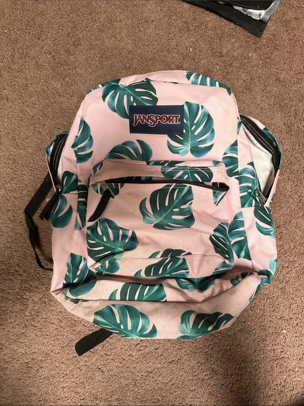 Jansport Pink Backpack with Green Tropical Leaf Print